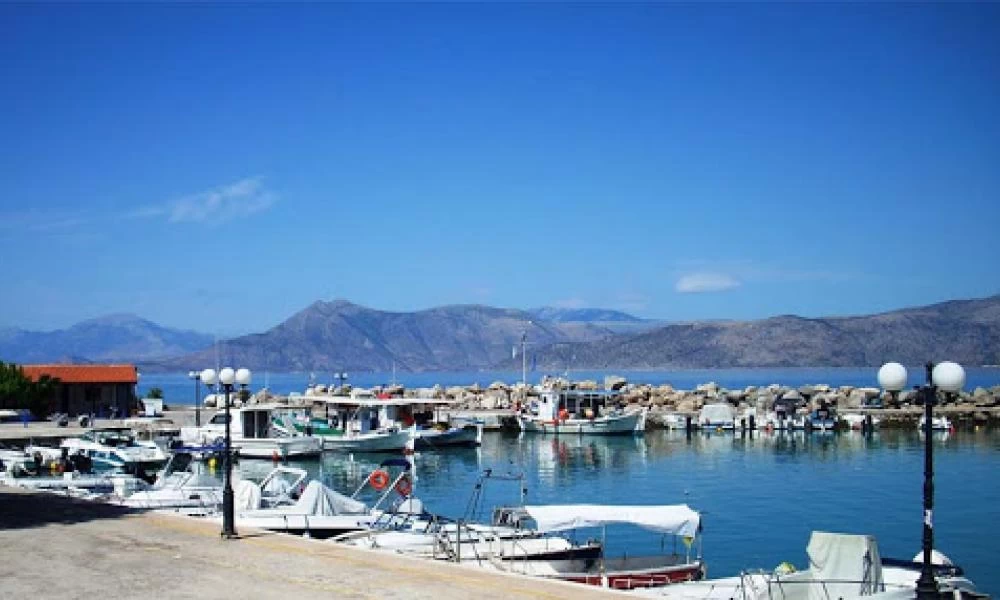 Μεγάλη ψαριά στο Αλεποχώρι: Έπιασαν σκυλόψαρο 300 κιλών!